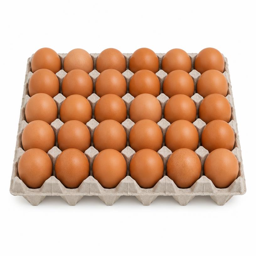 Egg (30)